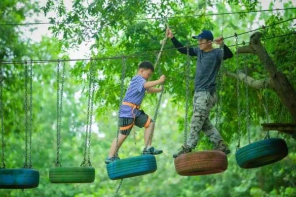 蘇州青少年桐洲島秘境探索三六六社會實踐研學之旅火熱報名中